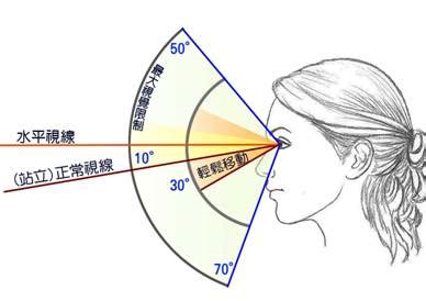 人類視覺角度|人類眼睛